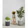 Langport Handmade Pot Planter
