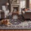 Tapis Farleigh traditionnel de style persan audacieux, gris ivoire et beige, lavable à la machine, antidérapant, à poils courts, pour l'intérieur et l'extérieur, adapté aux animaux domestiques, idéal pour le salon, la chambre, la salle à manger, l'entrée, le couloir ou le bureau.-477002835