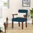 Naethan Upholstered Arm Accent Chair for Living Room, Accent Armchair-827454631