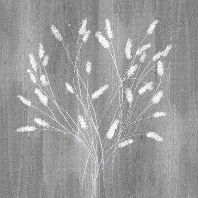 Bois blanc botanique séché - peinture sur toile tendue