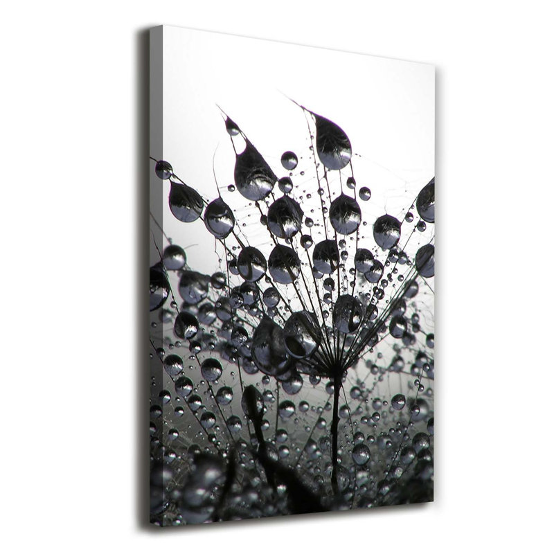 Dandelion Seeds - Wrapped Canvas Print