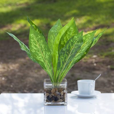 Fausse feuille verte dans un vase en verre cube