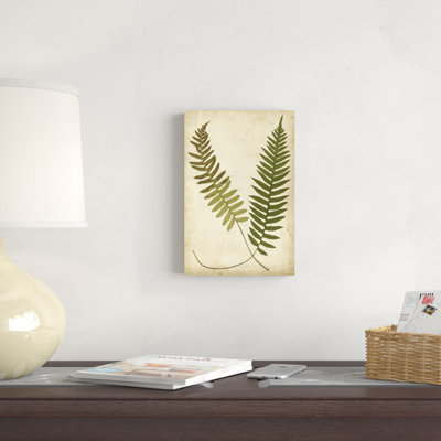 «Fern Portfolio III», peinture sur toile