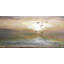 Hyman by Parvez Taj - Wrapped Canvas Painting-15986526