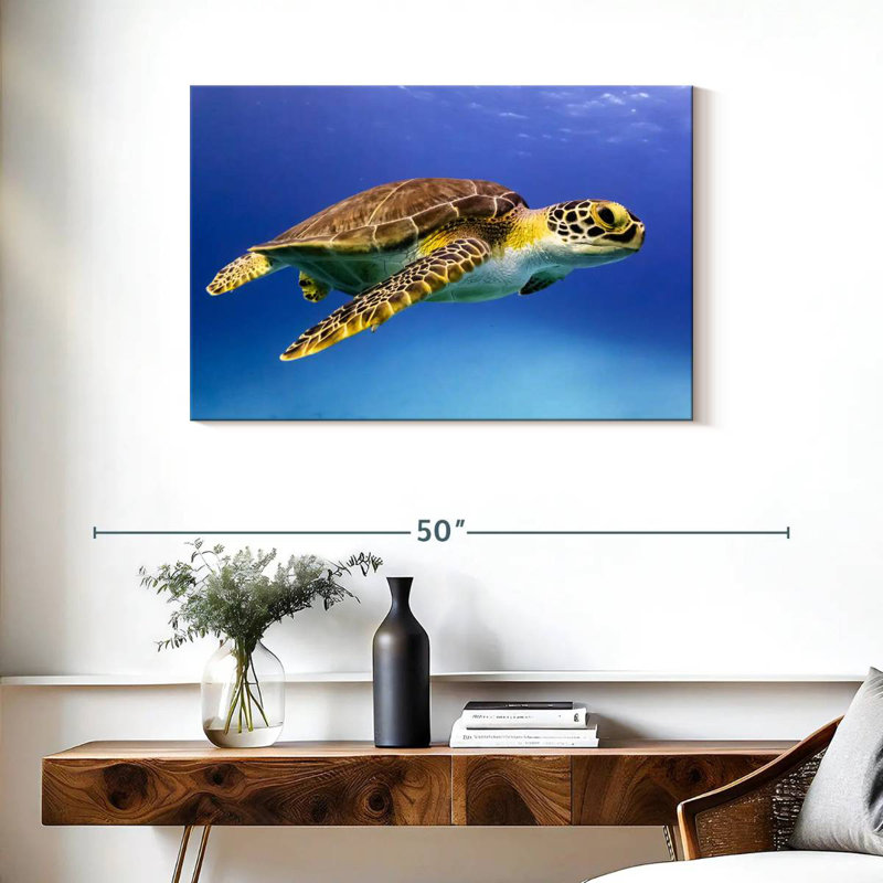 Brampt Young Hawksbill Turtle