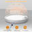 2 Pack Rechargeable Motion Sensor Ceiling Light Fixture with Remote, 6000mAh Battery Operated, 3 Colors, Dimmable, USB-C Charging, Cordless Closet Light, Auto/Night/ON Modes, 9 Inch
