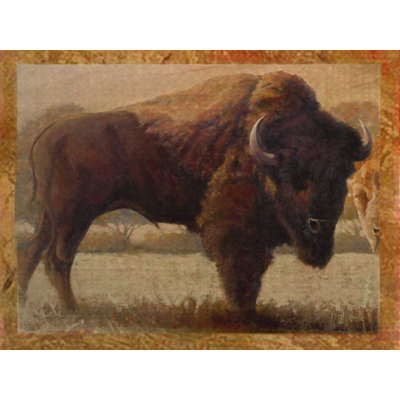Buffalo 1 - impression sur toile tendue