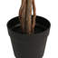  Polypropylène artificiel vert, bois d'eucalyptus, mousse