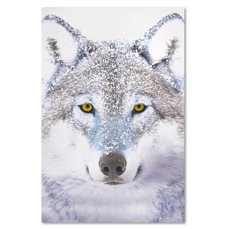 Leinwandbild Wolf Grey Nature Animals