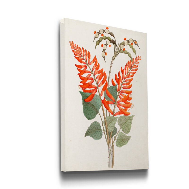 « Botanical of the tropiques II », reproduction d’art sur toile tendue, H 27 po x l 18 po x P 1 po