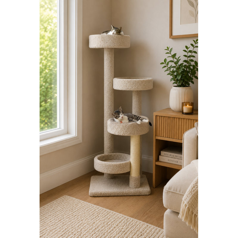 61 "New Cat Condo