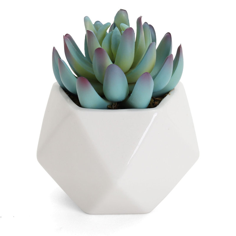 2.75" Artificial Graptoveria Succulent in Planter
