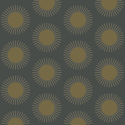 SAMPLE-Sunburst - Midnight Sun Wallpaper