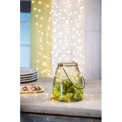 Degnan String Light