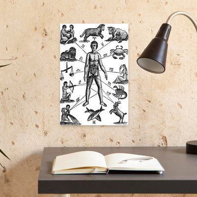 Zodiaque, homme, dessin, reliant, astrologie, lune, signes, à, divers, parties, de, mâle, anatomie, utilisé, dans, médecine ancienne, rétro, rétro