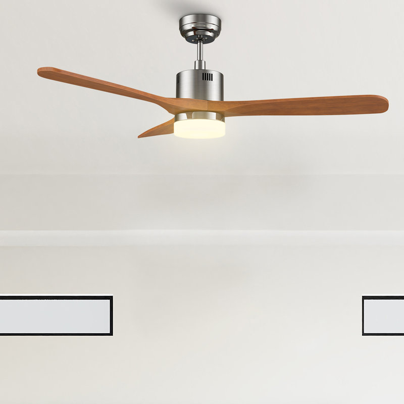Amontay 52'' Ceiling Fan with LED Lights