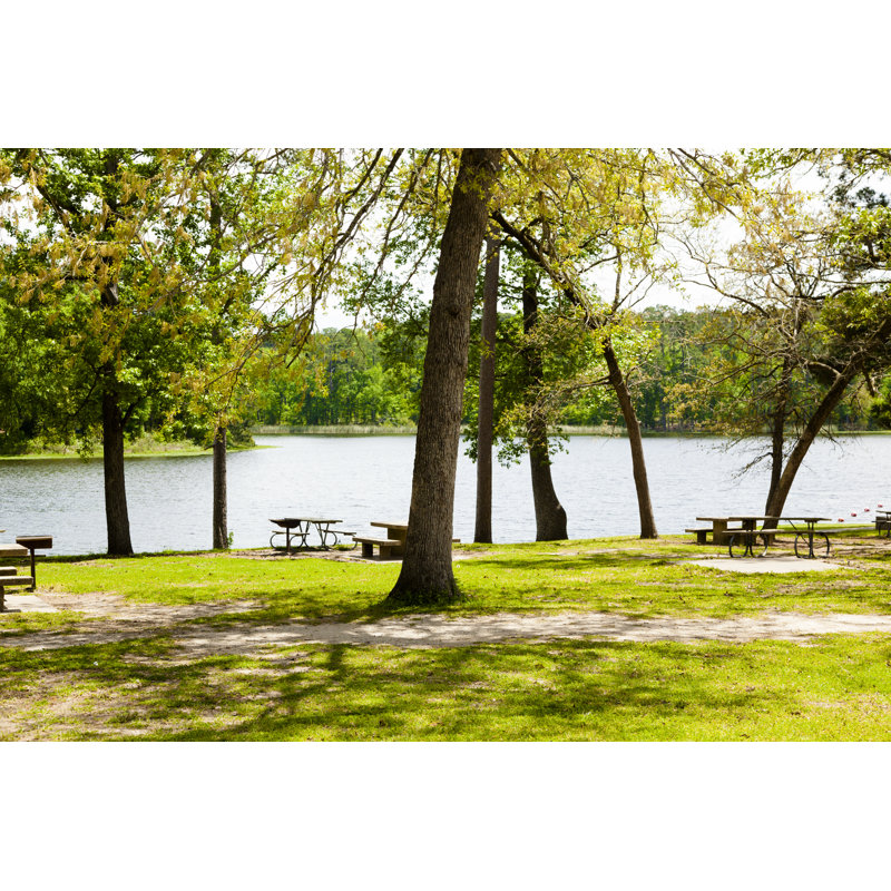 Spring Trees Surround A Lake. Park Picnic Tables At Bank. by Fstop123 - No Frame Art Prints on Canvas, 51cm H x 76cm W