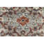Oriental Area Rug in Gray