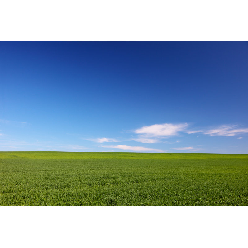" Farmlands " by Tkachuk, 8" H x 12" W