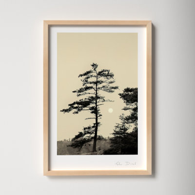 Garden Sign "Serenity" Print by Peter Dušek