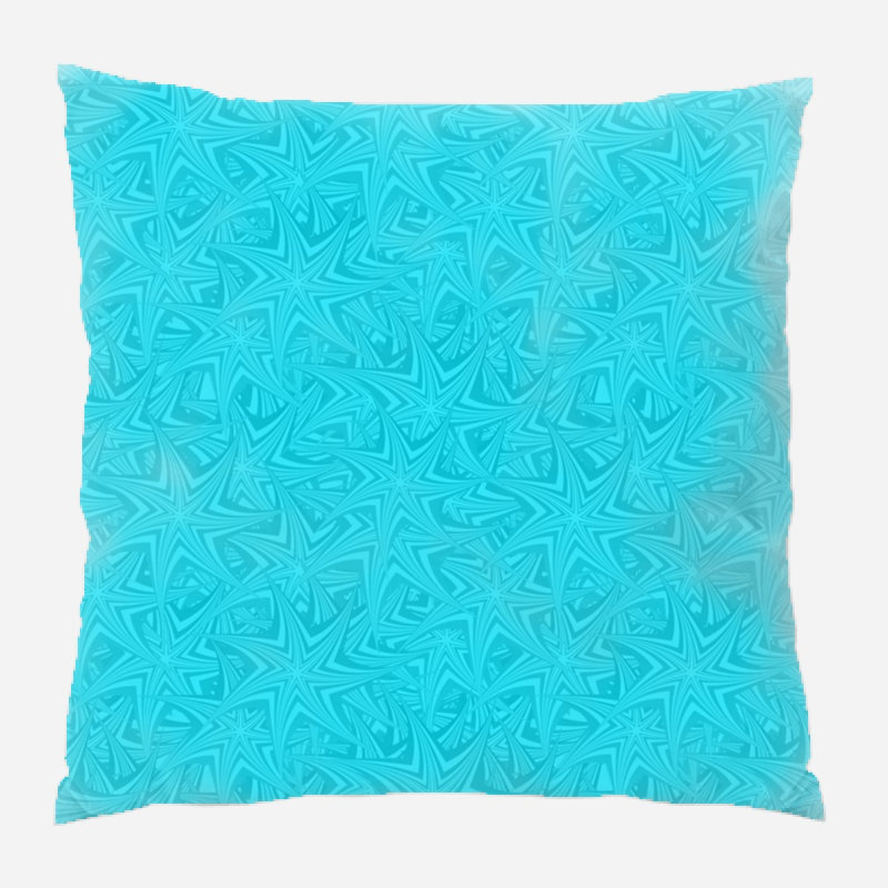 Coussin étoile, Intérieur