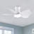 Low Profile 30'' 5- Blade Indoor Flush Mount Ceiling Fan With LED Light, DC Motor and Remote Control-1317734978