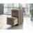 Harriss 2 Drawer Mobile File Ua Ne-834018379