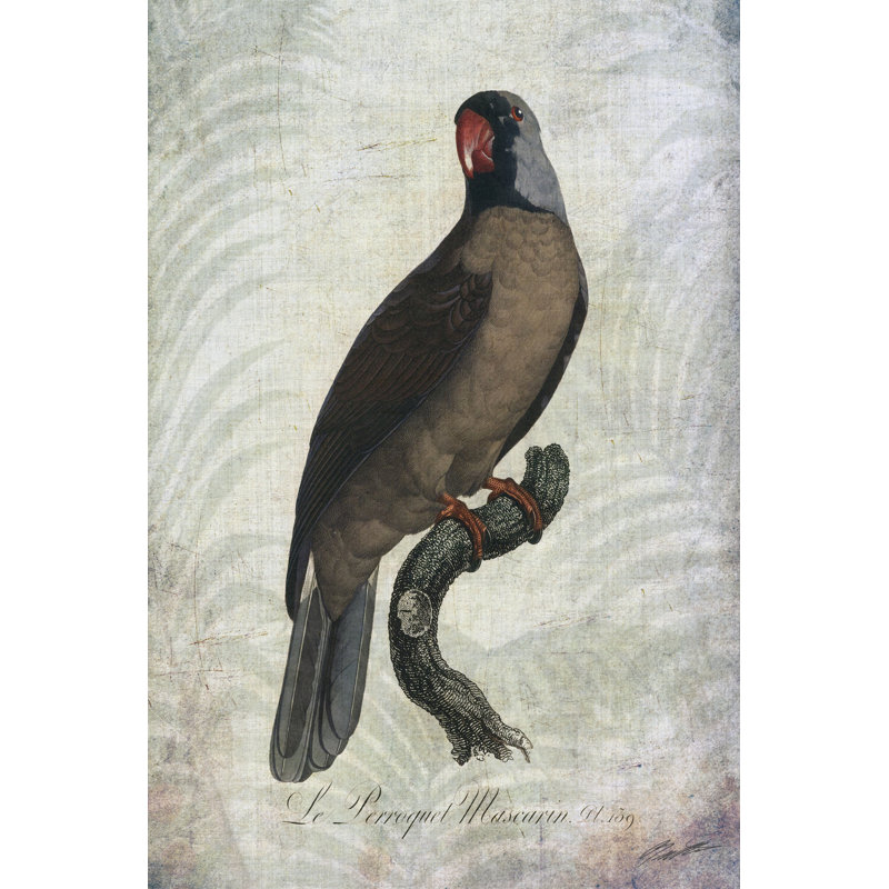 Parrot Jungle I by John Butler - Wrapped Canvas Painting, 46cm H x 30cm W x 3.8cm D