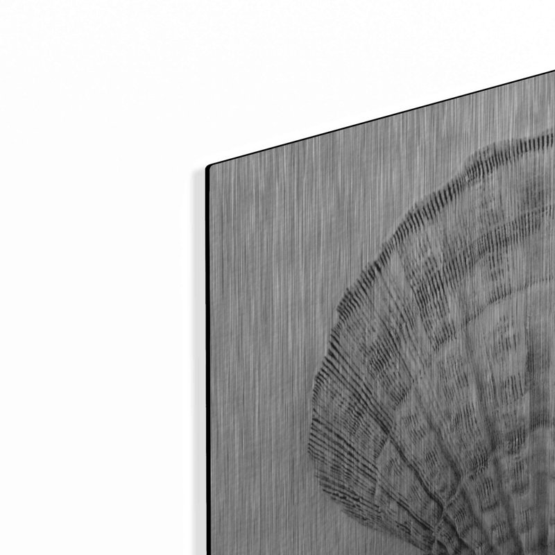 «On The Half Shell» par Debra Van Swearingen, H 16 po x l 12 po