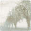 Mystic Morning III Print by Mari Urasawa-26773624-26773623