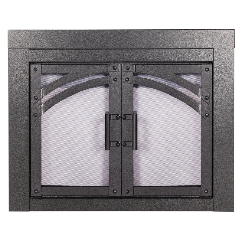Porte de foyer en acier Betsi, H 31 po x l 37,5 po x P 0,95 po