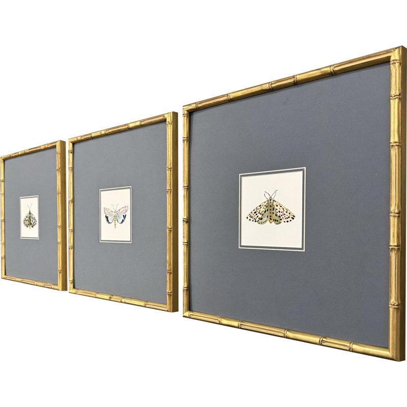 «Pastel Moths I», art encadré