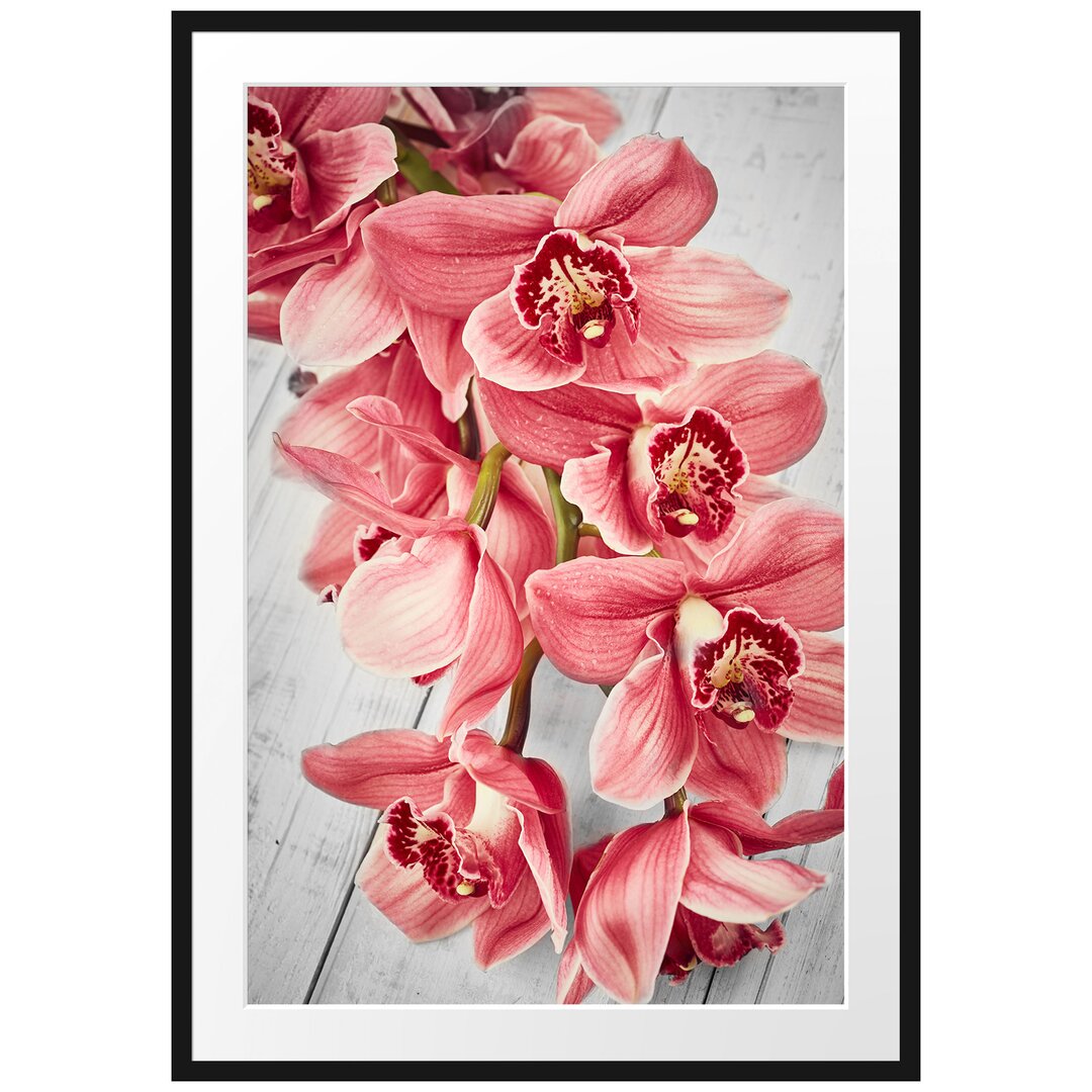 Gerahmtes Poster Rosane Orchideenblüten