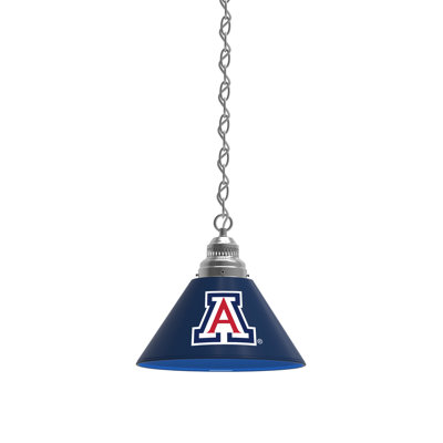 1 - Light Single Pendant