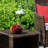 Nagey 2 - Person Patio Conversation Sets with Cushions-1081321515