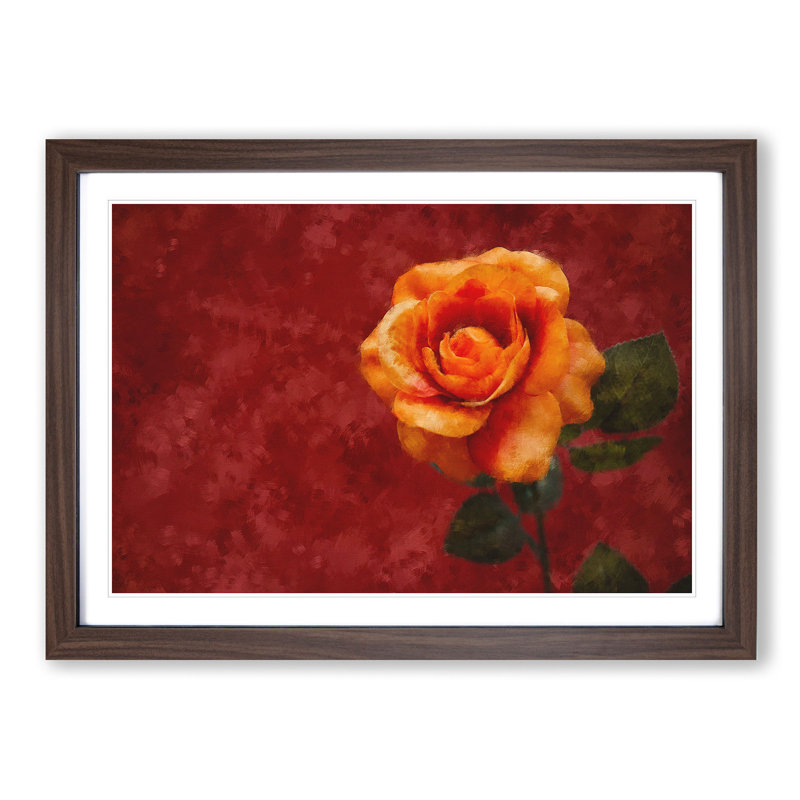 Orange Rose in Bloom - Picture Frame Graphic Art Print, 33cm H x 45cm W x 2cm D, Walnut Framed