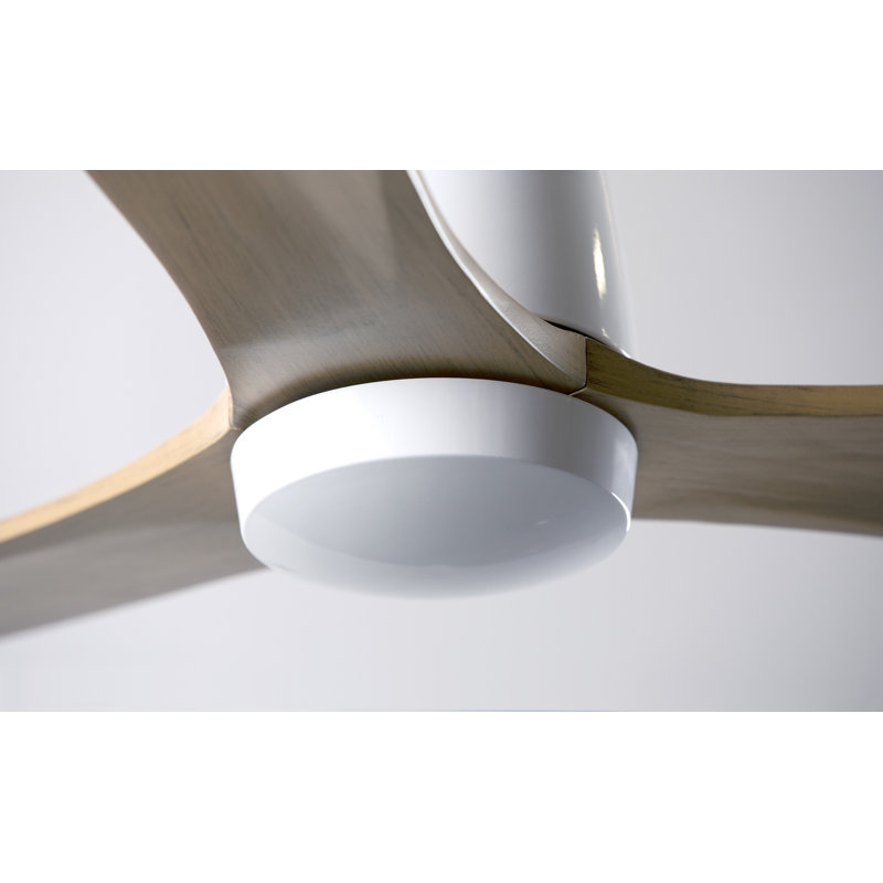 Arbor Flush Mount Ceiling Fan, Wall/Remote Combo Controls, Maple, Gloss White