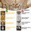 Lustre classique en cristal avec bougie en cristal avec ampoules DEL-636109248-636109249-636109251