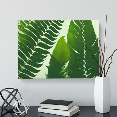 Contoured Fern Leaf - Wrapped Canvas