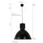 Thousand Oaks 1 - Light Dome Pendant-12048196