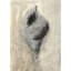 Seashells In Neutral I Painting by Guseul Park-26938888-26938890