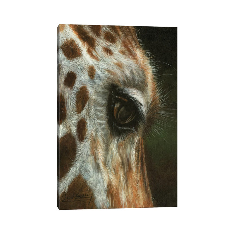 Giraffe Close by David Stribbling - Wrapped Canvas Painting, 20.32 cm H x 30.48 cm W
