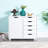 5-Drawer Decorative Filing Cabinet on Wheels – Stylish Office Storage Cabinet with Locking Features for Secure and Efficient Organization-1468204777