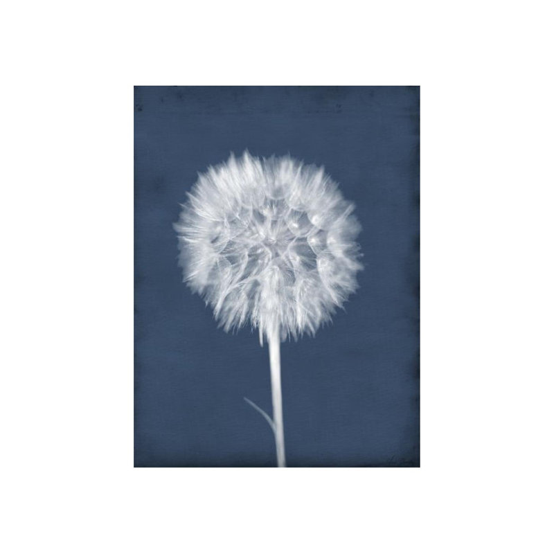 Puffy Seed I Print by Chris Dunker, Outdoor, 24" W x 32" H x 1.5" D