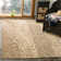 Martha Stewart Performance Animal Print Rug
