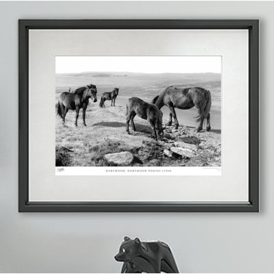 Dartmoor, Dartmoor Ponies C1960 - Single Picture Frame Print