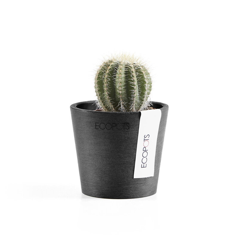 Dark Grey 7-Inch Recycled Plastic Indoor/Outdoor Planter