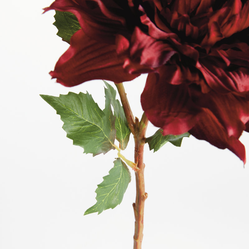 Tige de dahlia 21,5 po, Grenat