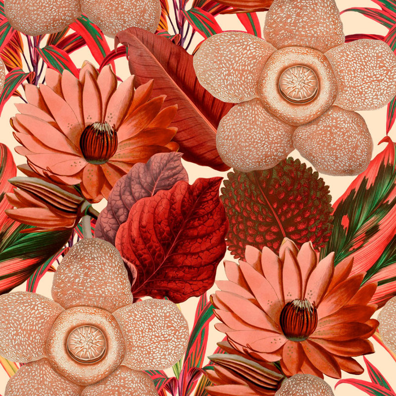 Florilegium Floral Wallpaper Roll, Red/Taupe