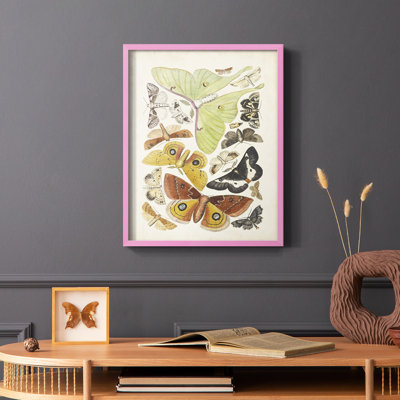 Antique Moths I, reproduction encadrée - bois massif